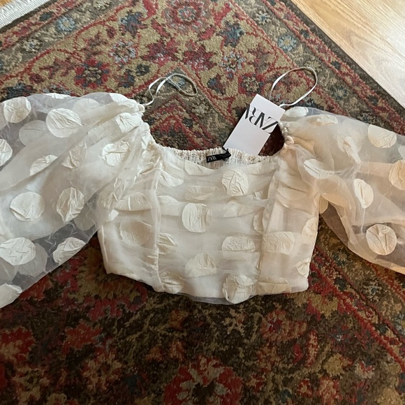 Zara Tops - Final price ✨NWT ZARA crop